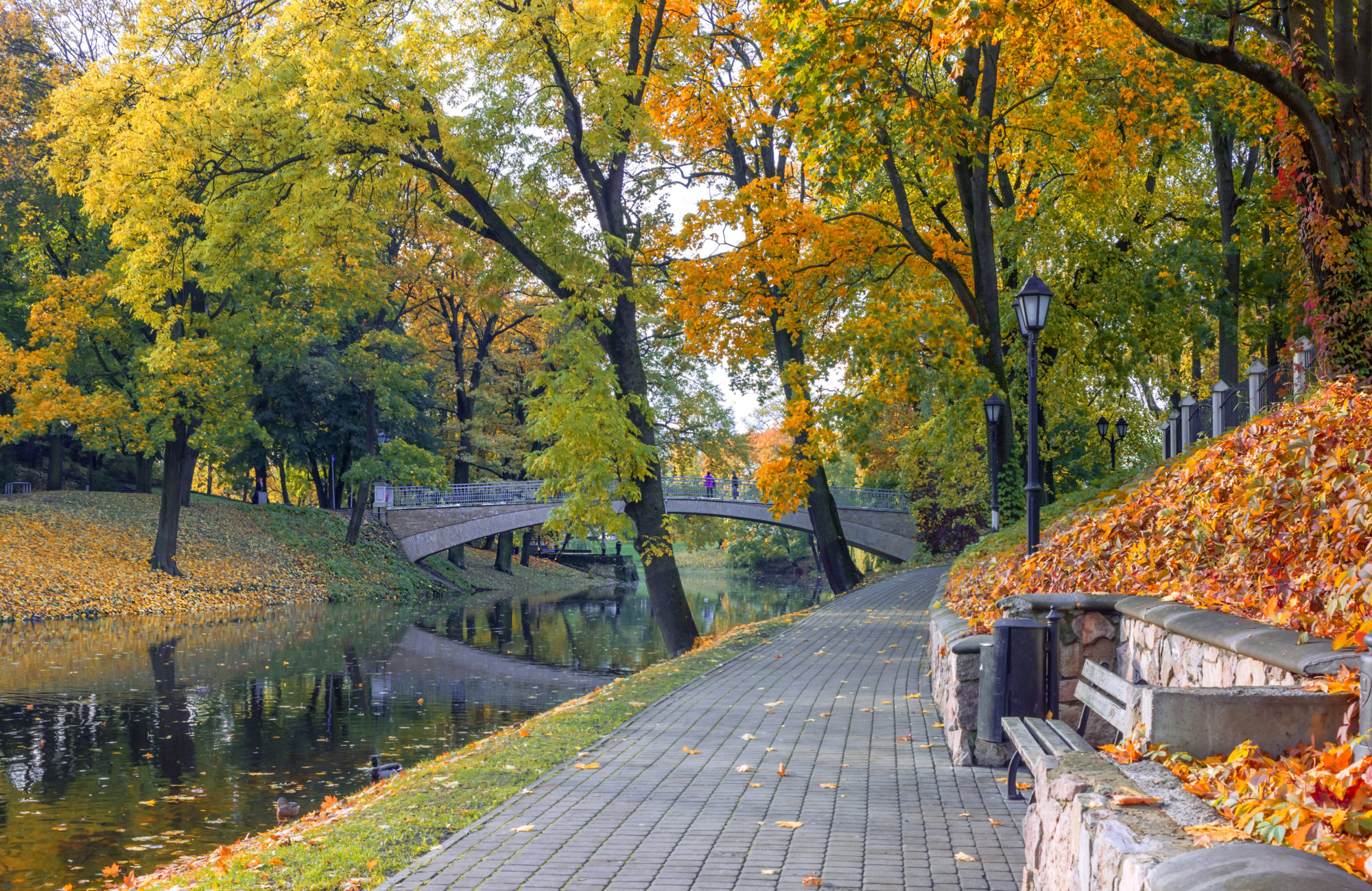 верманский парк рига